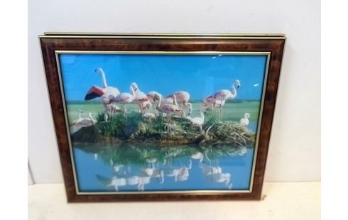 CADRE FLAMANDS ROSE