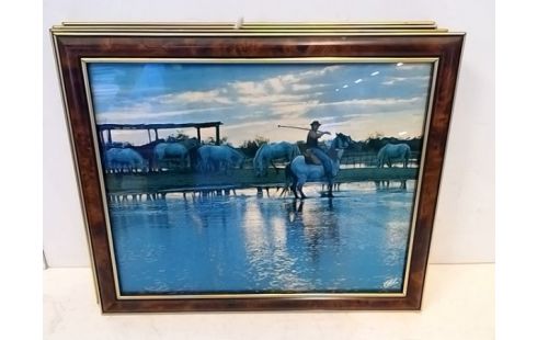 CADRE HOMME ET CHEVAUX