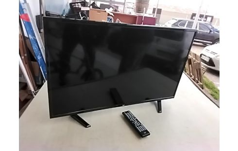 ECRAN LCD DUAL 80 CM TÉLÉCOMMANDE