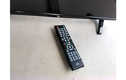 ECRAN LCD DUAL 80 CM TÉLÉCOMMANDE