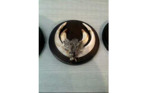 TROPHÄENBRETTCHEN 3ER-SET HOLZ DUNKEL