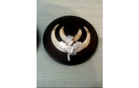 TROPHÄENBRETTCHEN 3ER-SET HOLZ DUNKEL