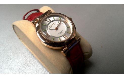 MONTRE CITIZEN BRONZE ROUGE