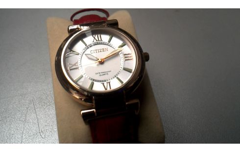 MONTRE CITIZEN BRONZE ROUGE