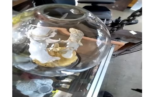 GLOBE Avec socle et personnages