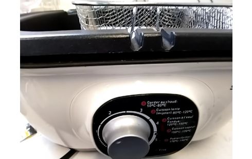 FRITEUSE ELECTRIQUE SILVERCEST (AVEC ACCESSOIRES)