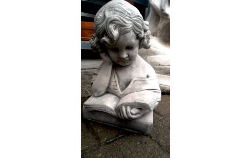 ANIMAL DECO JARDIN FILLE MET, , LIVRE