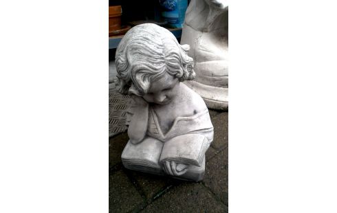 ANIMAL DECO JARDIN FILLE MET, , LIVRE