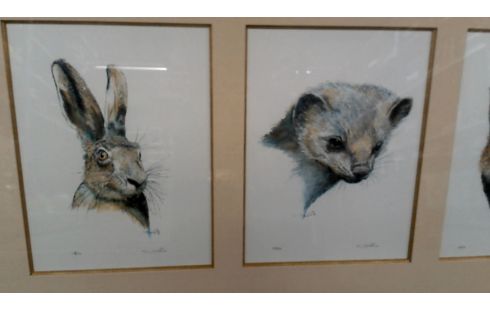 KADER ETSEN DIEREN VIC BUIJS