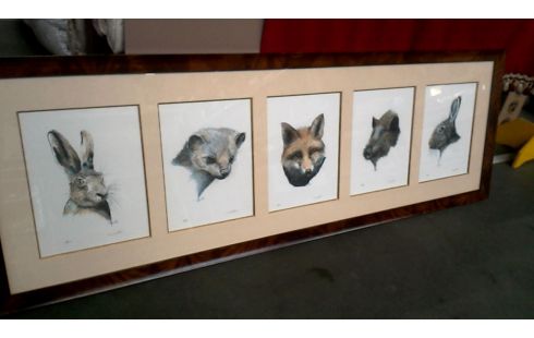 KADER ETSEN DIEREN VIC BUIJS