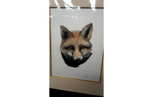 KADER ETSEN DIEREN VIC BUIJS