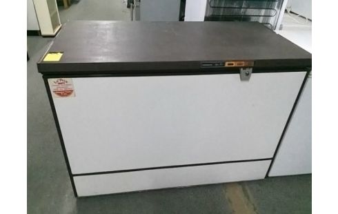 CONGELATEUR COFFRE THOMSON 295L