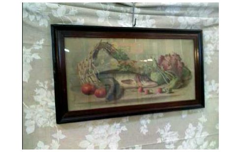 BILD IM RAHMEN STILLEBEN MIT FISCH