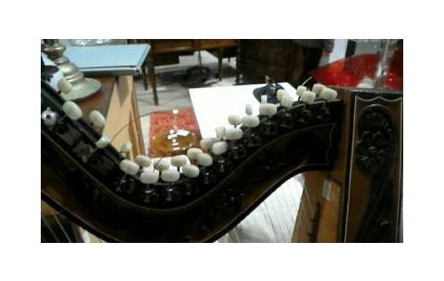 HARPE BOIS SUD AMERICAINE