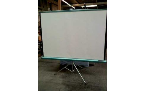 LEINWAND <DA-LITE CHALLENGER> GRÜN