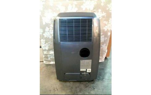 KLIMAANLAGE <DELONGHI> PAC W130A