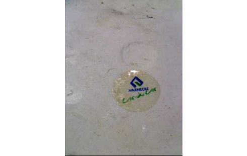 BODENVASE <WARNECKE> FLORA U. FAUNA FARBIG