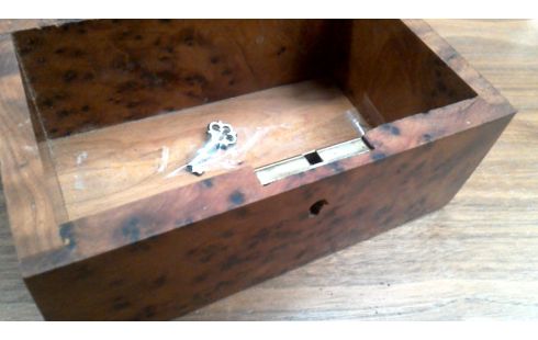 BOITE A BIJOUX LOUPE D'ORME