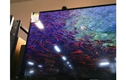 TELEVISEUR SCHNEIDER FULL HD 100CM TNT HD