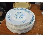 LOT D'ASSIETTES ARCOPAL FLEURS BLEUE