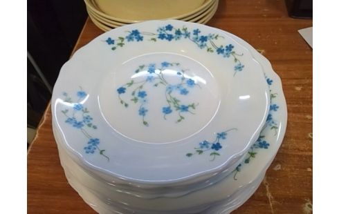 LOT D'ASSIETTES ARCOPAL FLEURS BLEUE
