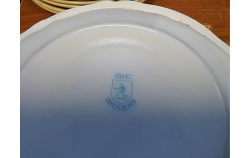 LOT D'ASSIETTES ARCOPAL FLEURS BLEUE