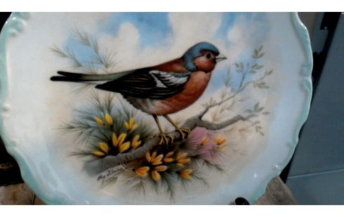 PLATO, , PÁJARO ROYAL