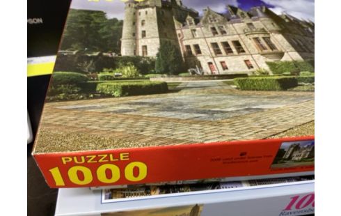 PUZZLE CHÂTEAU 1000 pièces