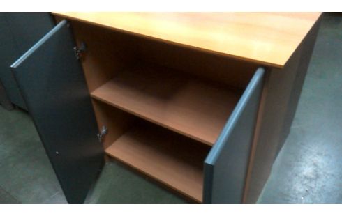 CAISSON 2 PORTES FRENE LOOK VERTE L UNITE