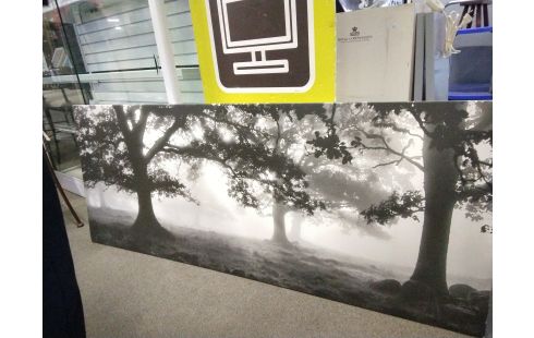 CADRE PRAIRIE HIVERNALE