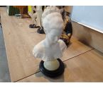 BUSTE FEMME RESINE PIED ALBATRE