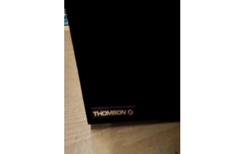 HAUT PARLEUR THOMSON  LA PAIRE