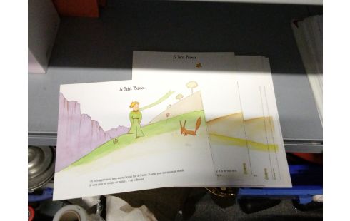 AFFICHE PETIT PRINCE AFFICHE DE CINEMA PETIT PRINCE