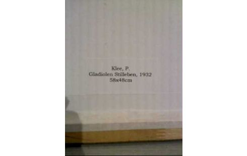 AQUARELL I.R. <PAUL KLEE> GLADIOLEN