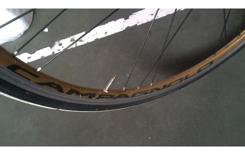 FIETS GIANT FCR BLAUW