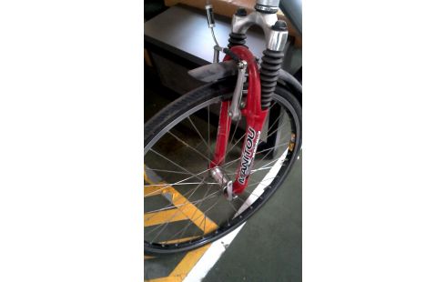CITYBIKE B1 GRIJS ROOD
