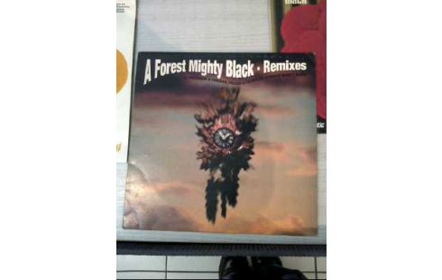 SCHALLPLATTE <A FOREST MIGHTY BLACK> VERSCH.