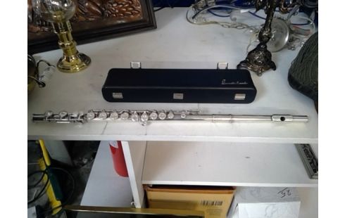 DWARSFLUIT LEMEINHARDT M2