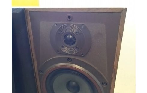 PAIRE D'ENCEINTES B&W DM110 (AVEC CABLES)