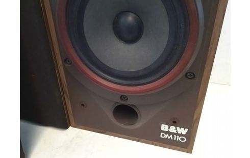 PAIRE D'ENCEINTES B&W DM110 (AVEC CABLES)