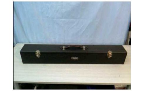 LEINWAND DIAPROJEKTOR IM KOFFER <STELLA>