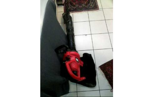 LAUBSAUGER + BLÄSER <BLACK&DECKER> GW2838