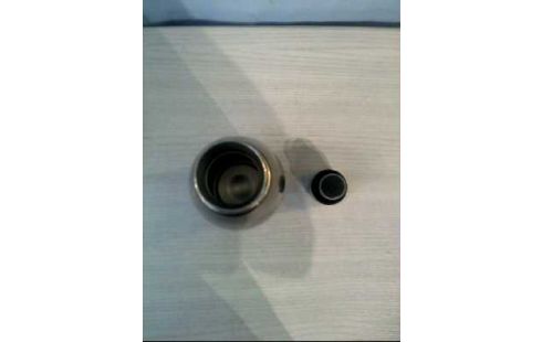 THERMOSFLASCHE WWF FOR FUTURE