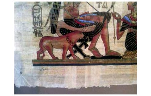 BILD I.R. ÄGYPTISCH 2-PERSONEN JAGD