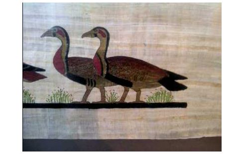 BILD I.R. PAPYRUS ÄGYPTISCH 3-GÄNSE