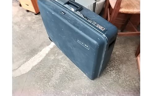 VALISE DELSEY