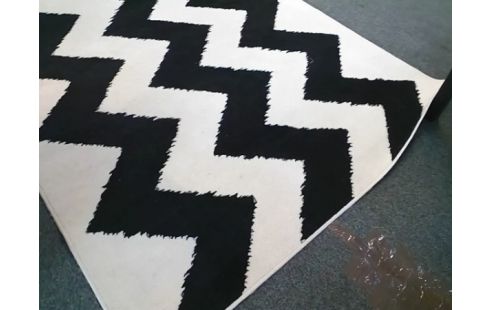 TAPIS NOIR ET BLANC 230X160 (UNE TACHE)