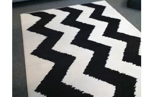 TAPIS NOIR ET BLANC 230X160 (UNE TACHE)