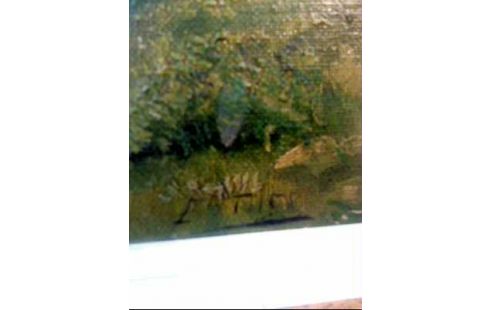 ÖLGEMÄLDE I.R. SIGN. STRAUCHLANDSCHAFT