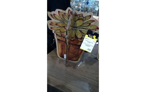 DECORATION EN BOIS PLANTE